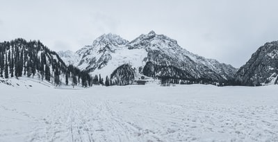 雪覆盖了白天
